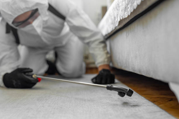 Professional Termite Control technician working in Boone, NC